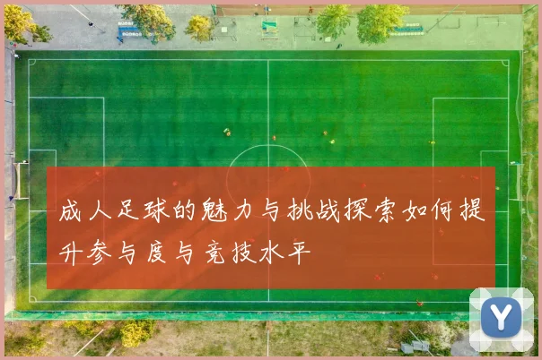 成人足球的魅力与挑战探索如何提升参与度与竞技水平