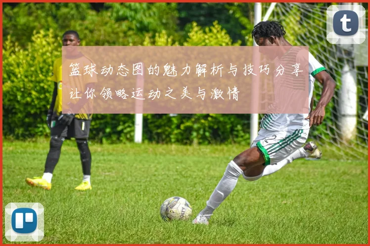 篮球动态图的魅力解析与技巧分享让你领略运动之美与激情