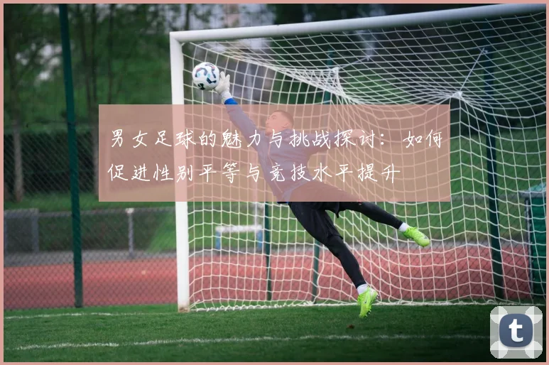 男女足球的魅力与挑战探讨：如何促进性别平等与竞技水平提升